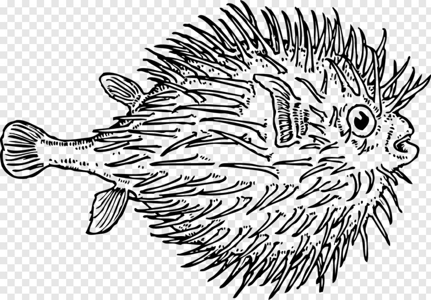 fish-logo # 999030