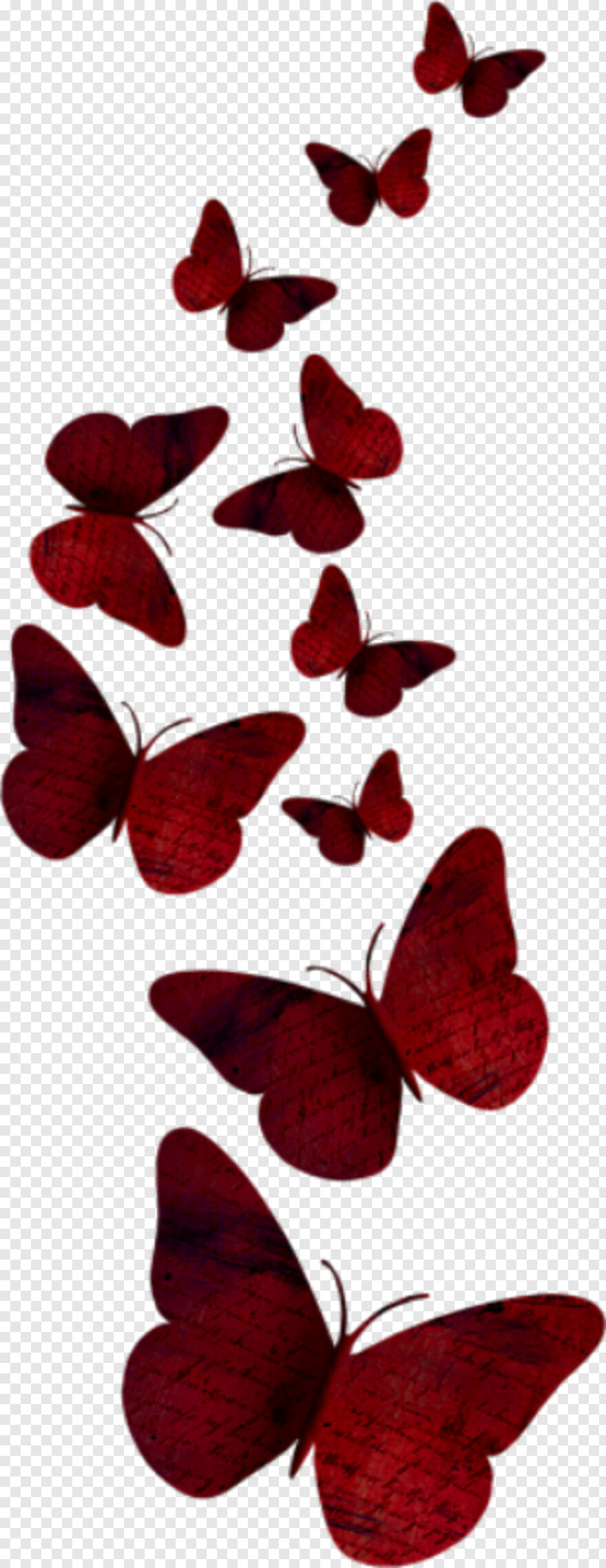 purple-butterfly # 1094761