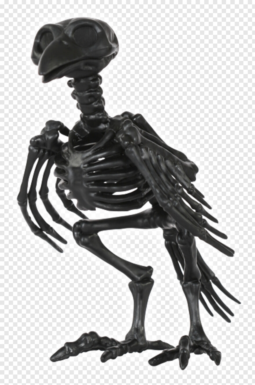  Skeleton, Crow, Flying Crow, Skeleton Head, Crow Silhouette, Skeleton Hand