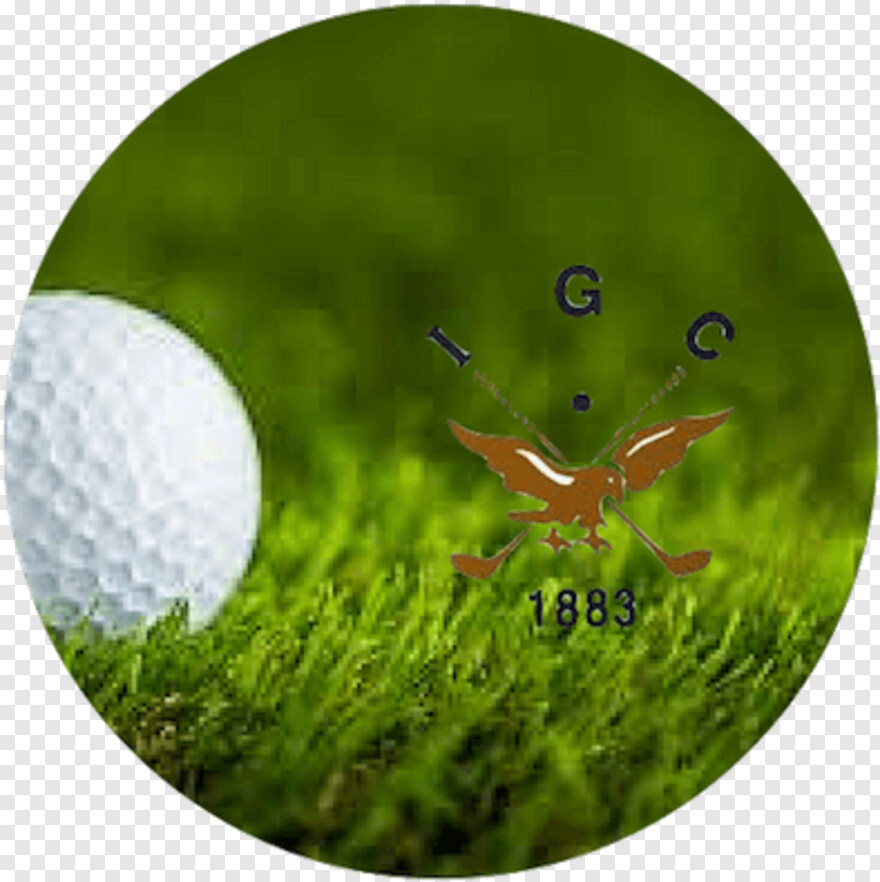 golf # 417082