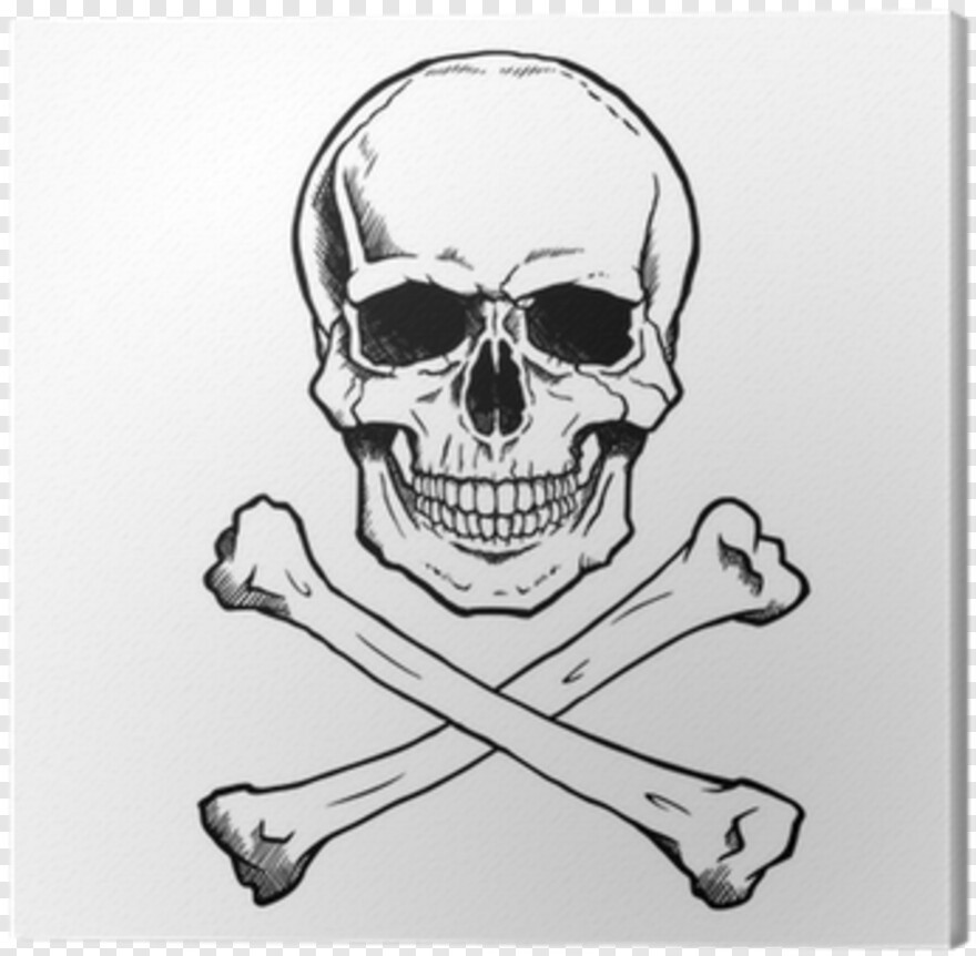 skull-and-crossbones # 1072479