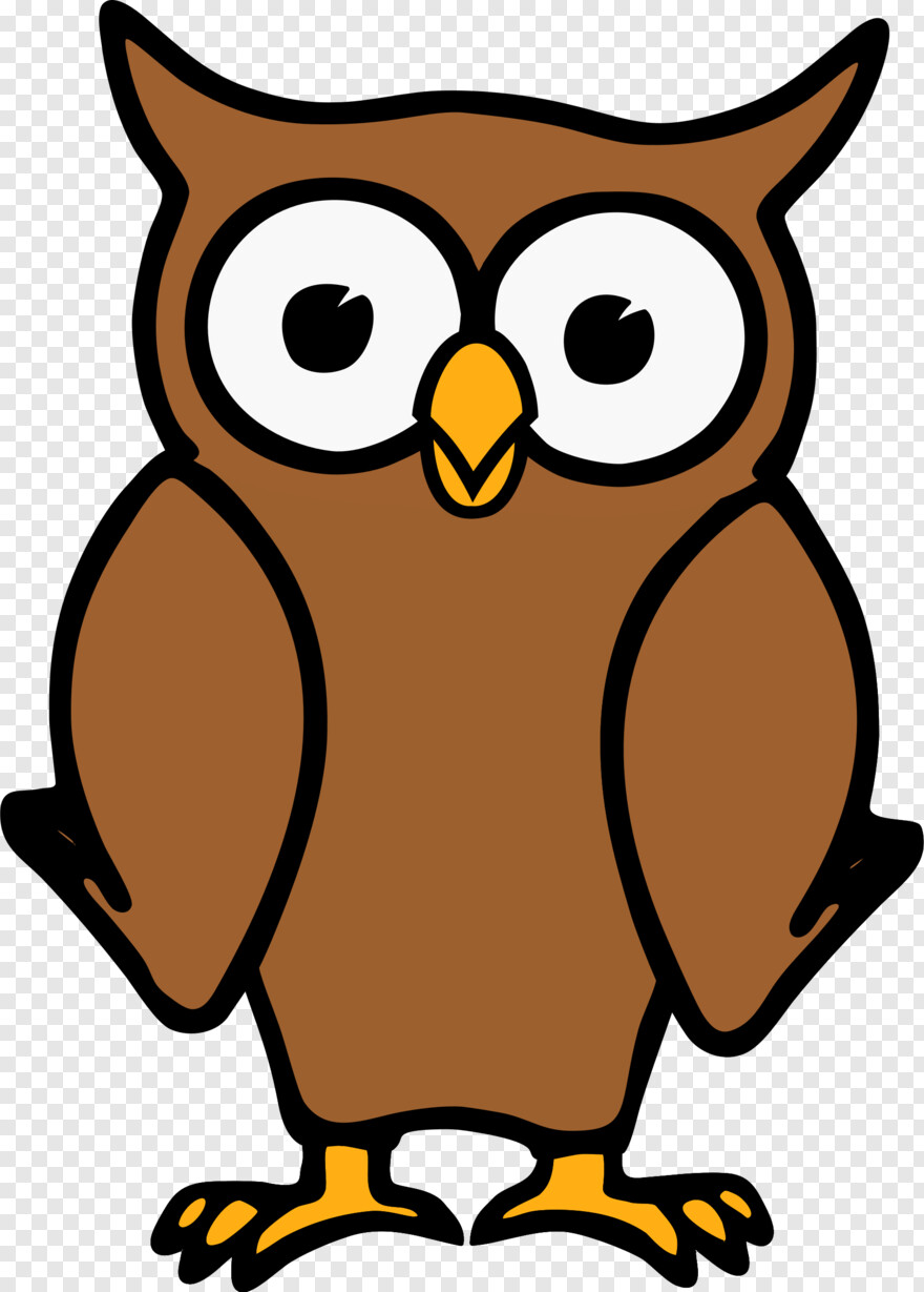 cute-owl # 999007