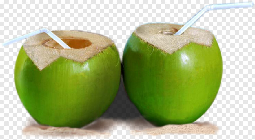coconut # 990089