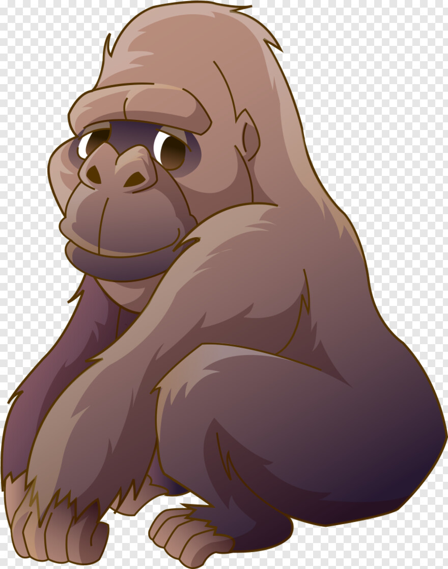 gorilla # 510368