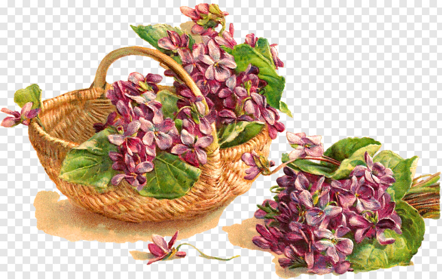 flower-basket # 398209