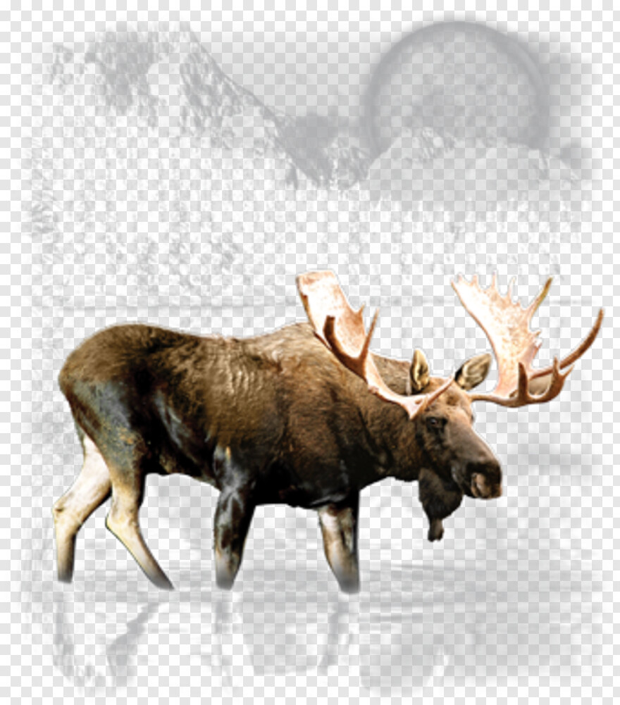 moose-silhouette # 952294