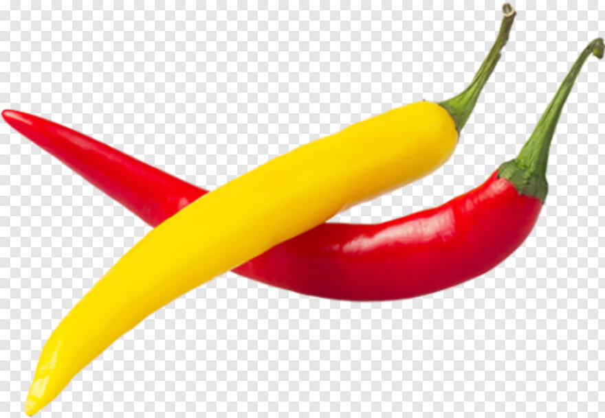 red-pepper # 333209