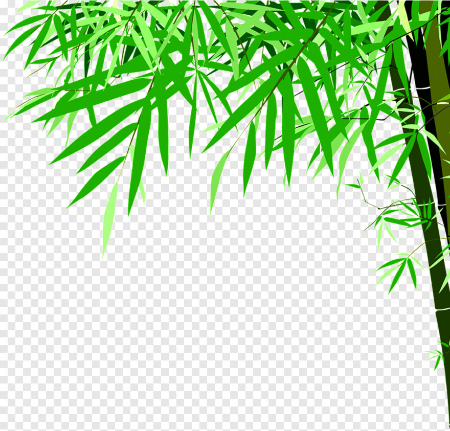 bamboo # 414146