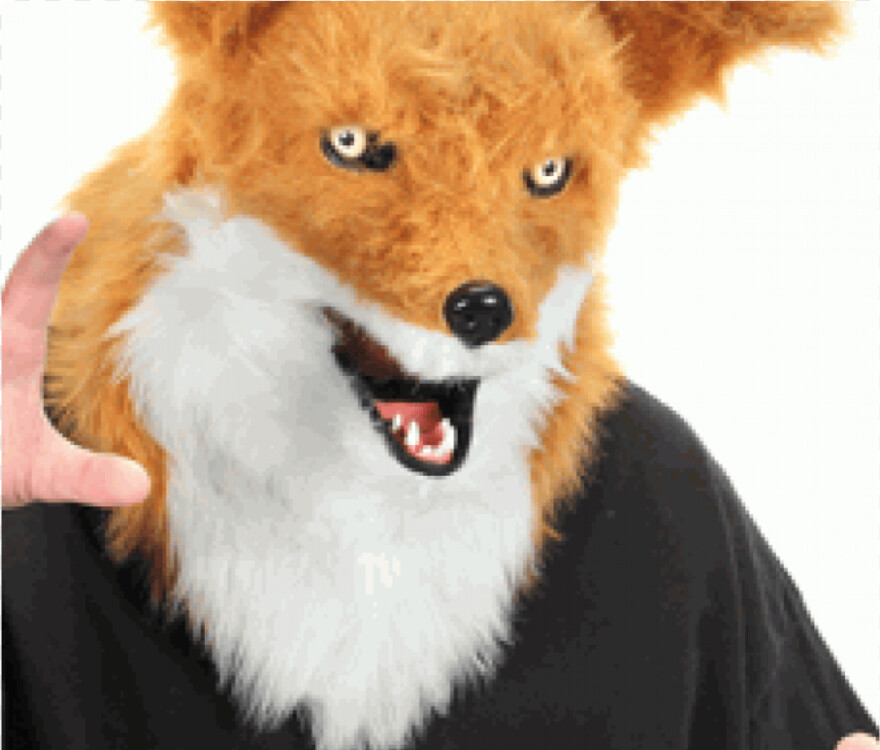 fox-logo # 953795