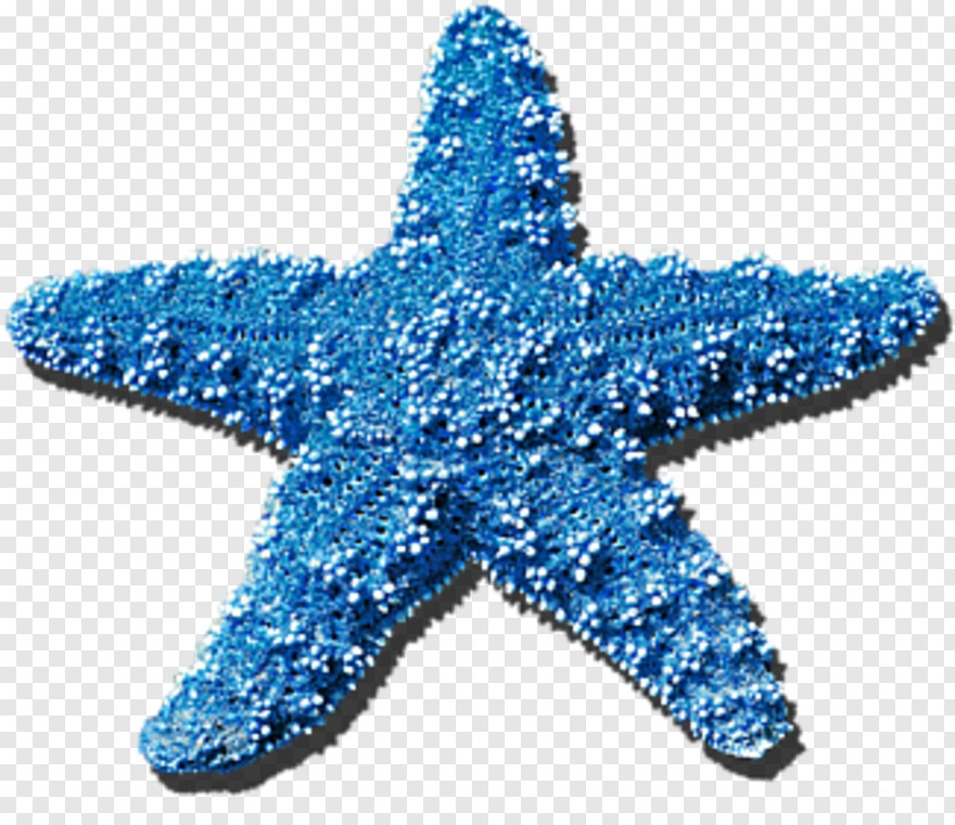 starfish # 342255