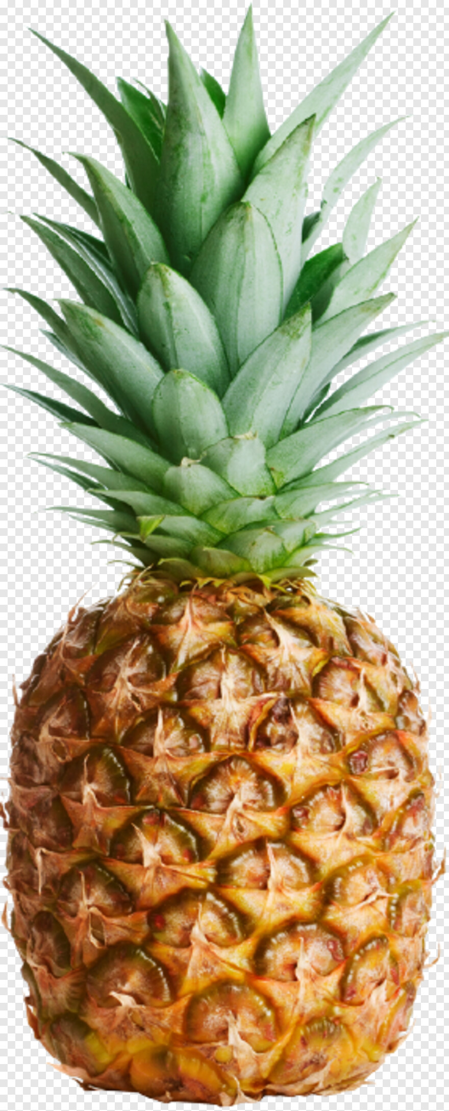 pineapple-juice # 356646