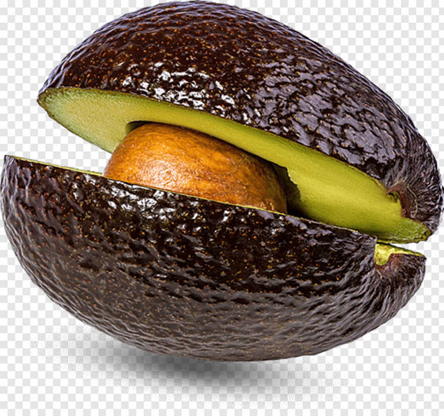 avocado # 440211