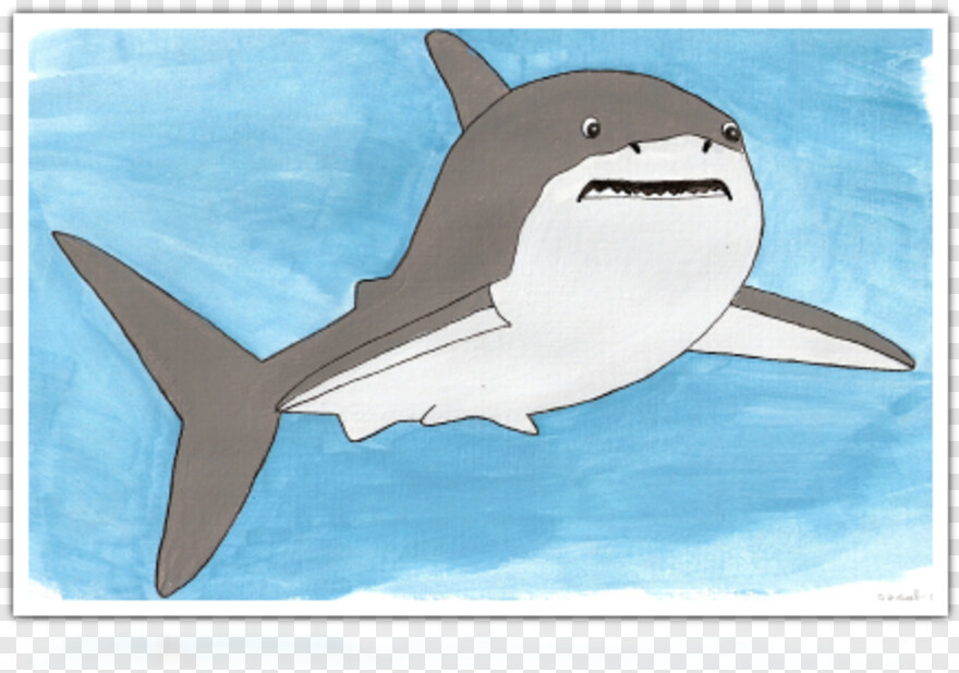 shark-fin # 364662