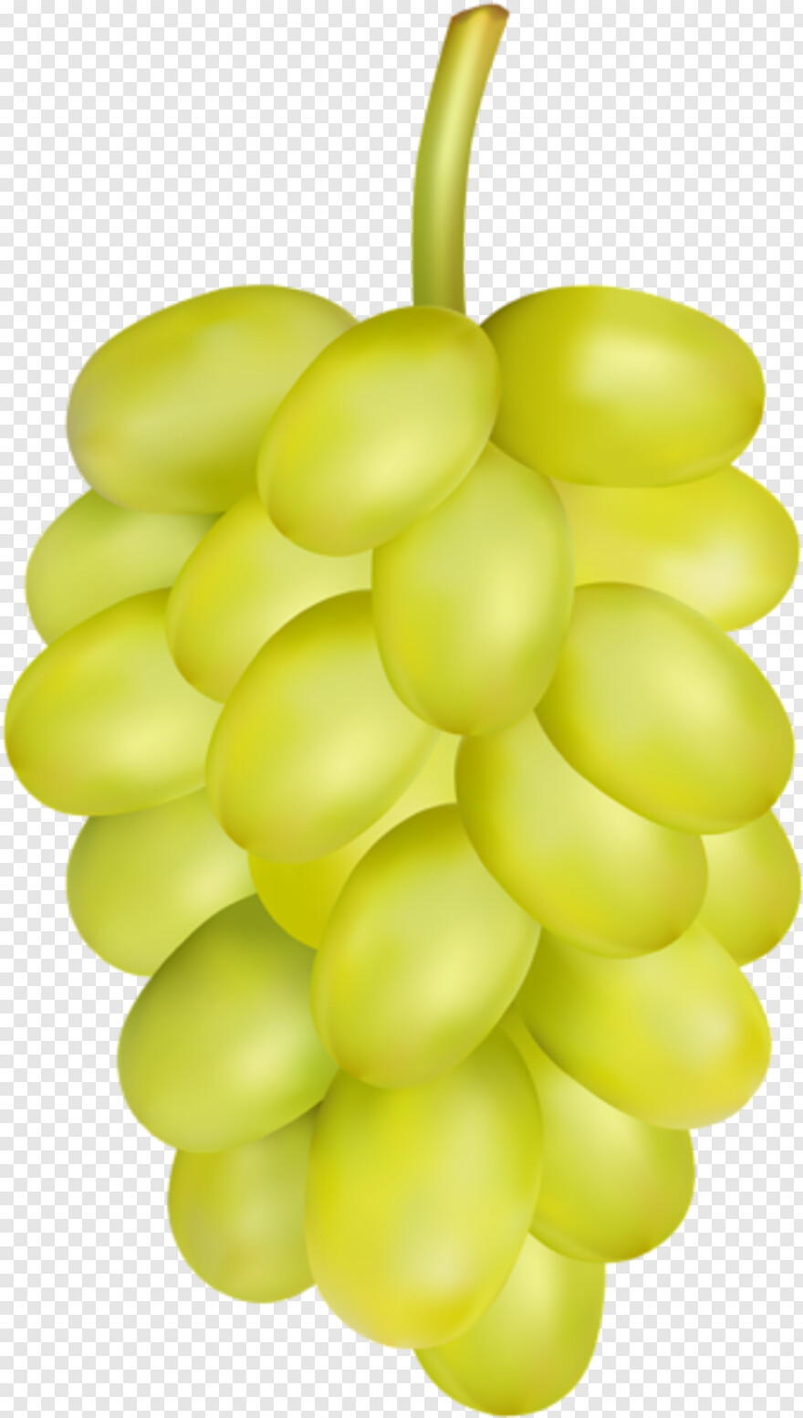 grape-vine # 471117