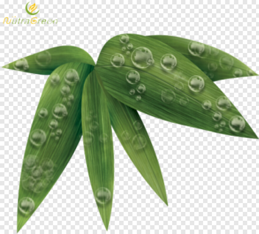 leaf-clipart # 413947