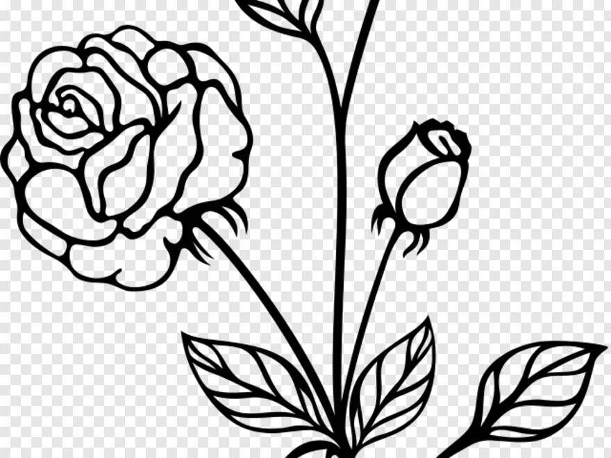 rose-flower-vector # 354911