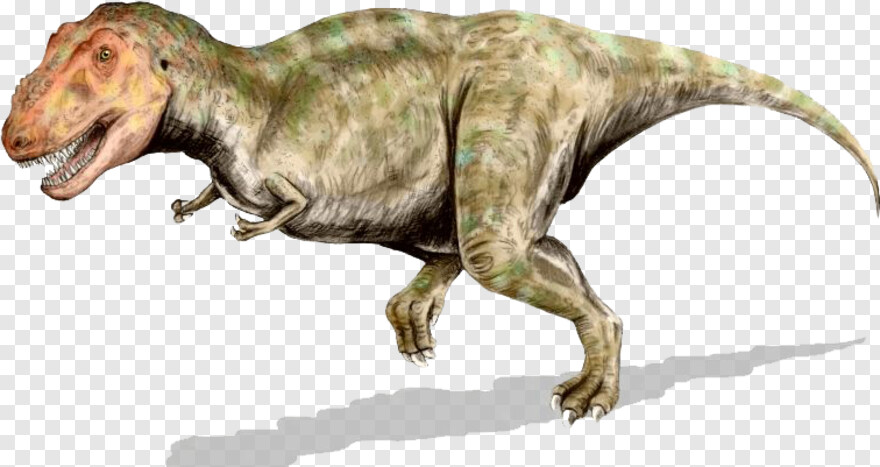 tyrannosaurus-rex # 596848