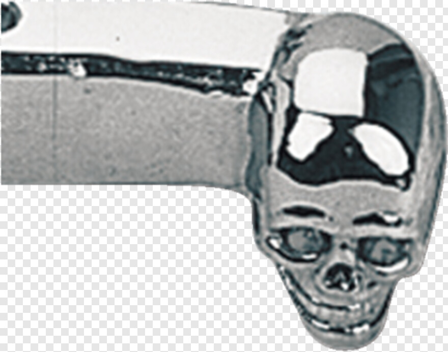 skull-and-bones # 425578