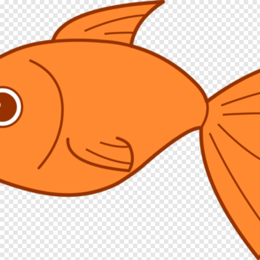 goldfish # 480510