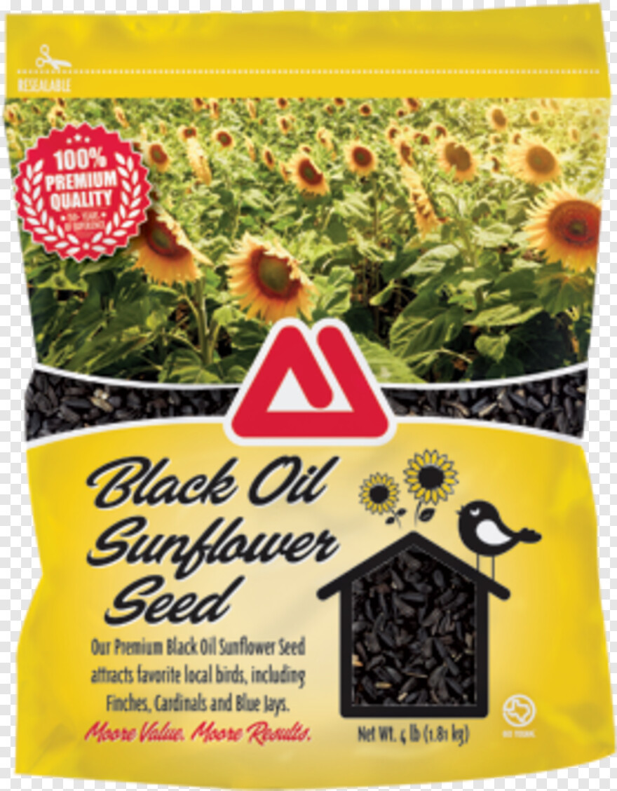 sunflower-vector # 360392
