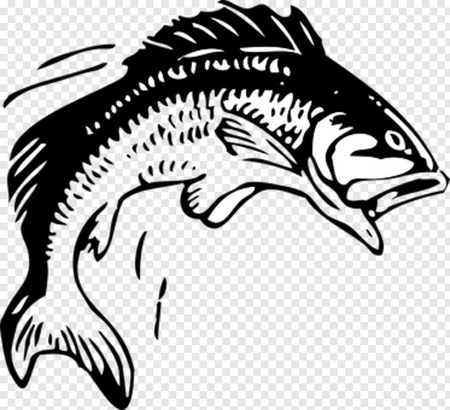 Fish Vector, Bass Fish, Fish Silhouette, Koi Fish, Fish Logo, Ocean ...