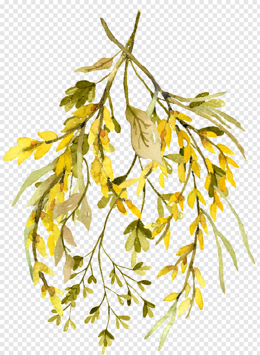 leaf-clipart # 924622