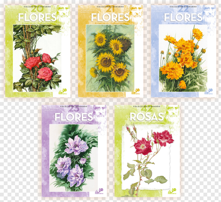 flores # 825528