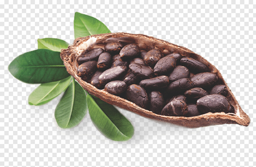 green-beans # 526132