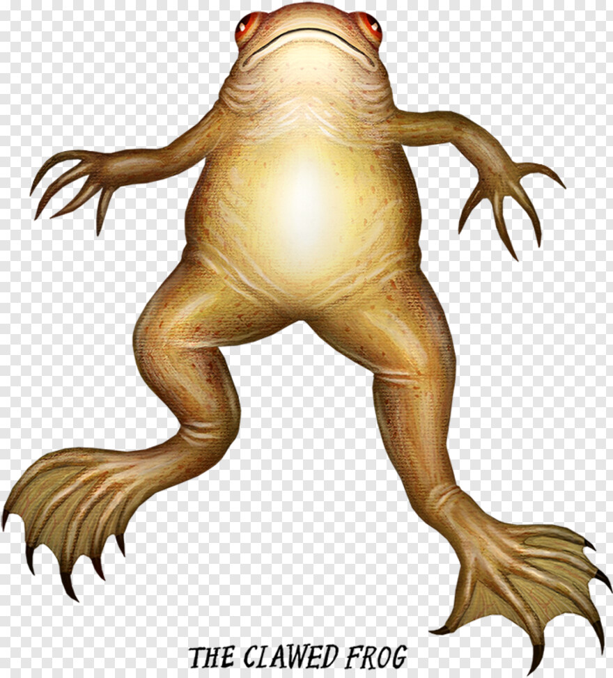 frog-clipart # 811005