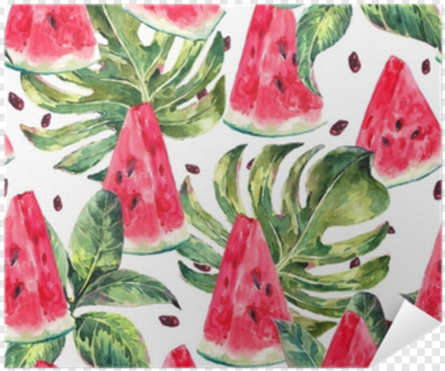 watermelon-clipart # 1037672