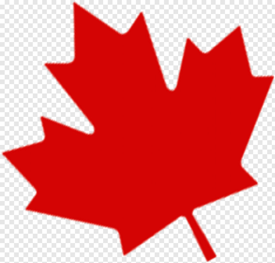 canadian-maple-leaf # 428128