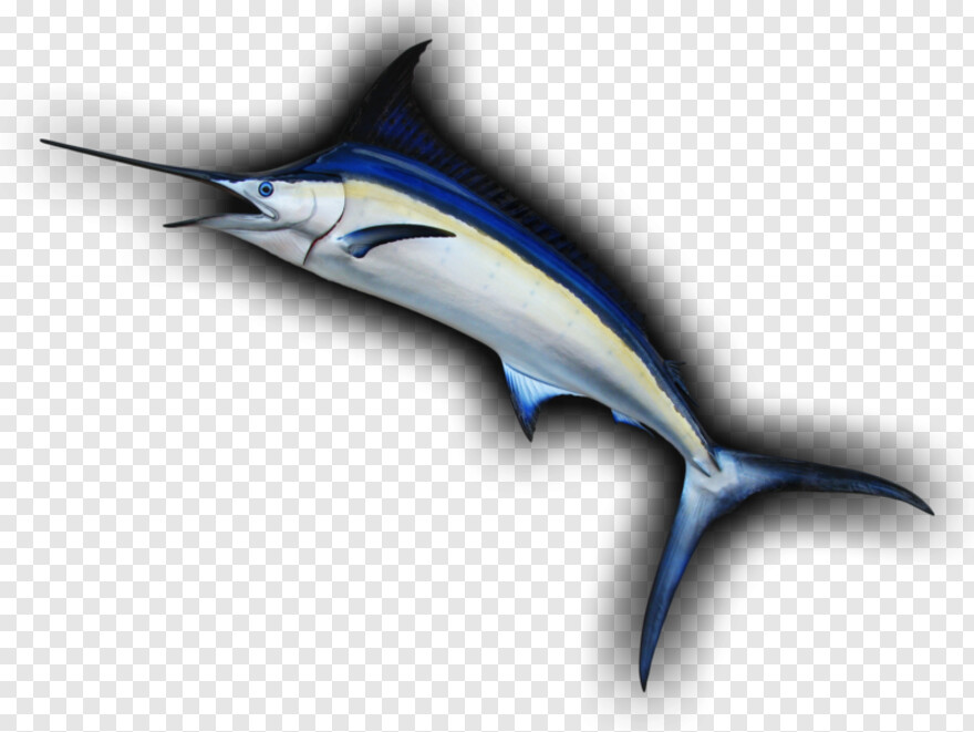 fish-logo # 342797