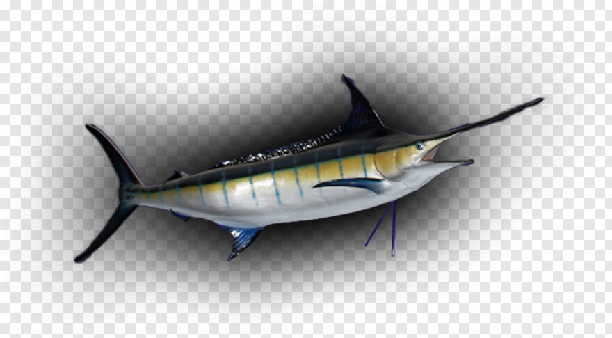  Fish Silhouette, Koi Fish, Ocean Fish, Fish Logo, Fish Vector, Fish Emoji