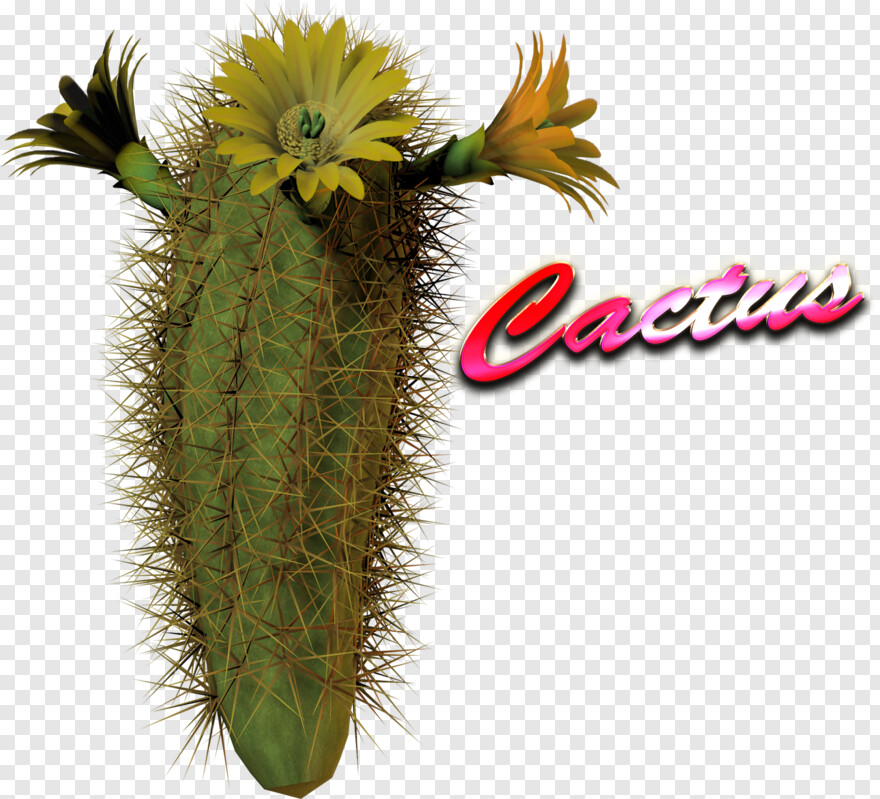 cactus # 1088861