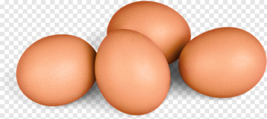 scrambled-eggs # 1025512