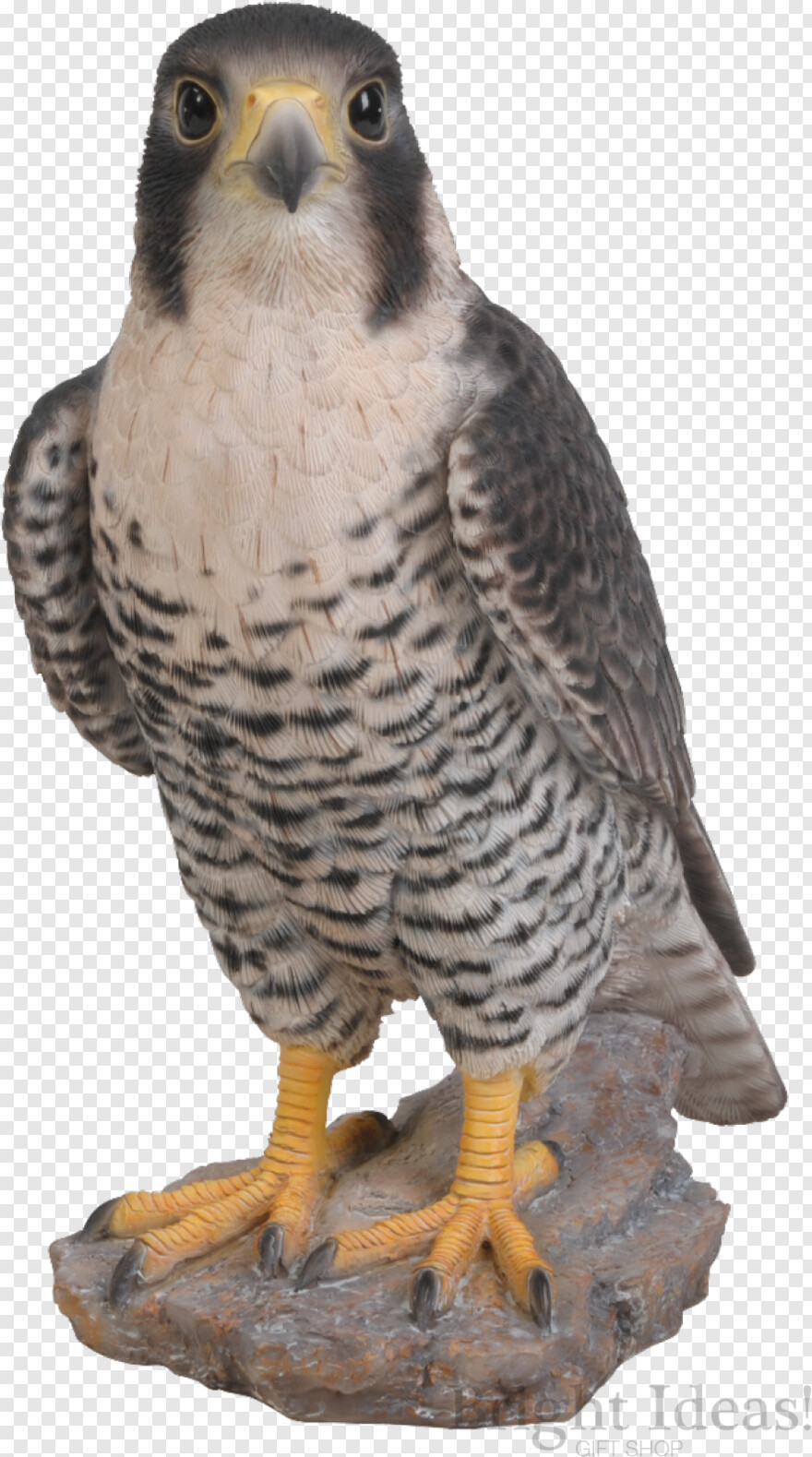 millennium-falcon # 360365