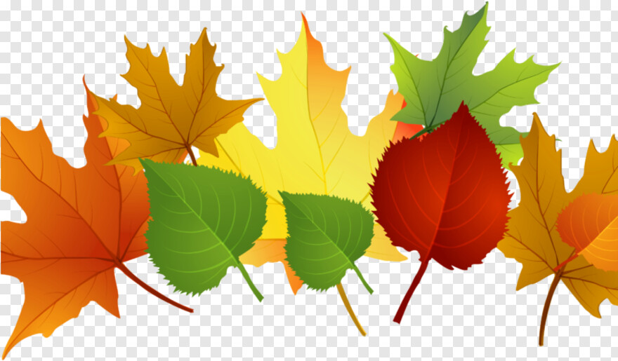 fall-leaves # 847062