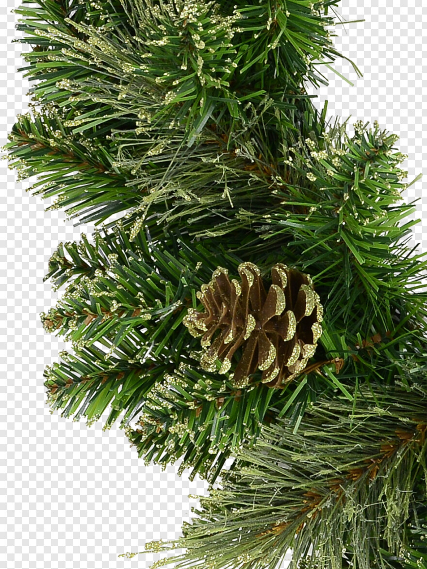 pine-tree-branch # 966590