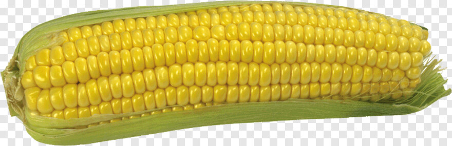 corn # 428121