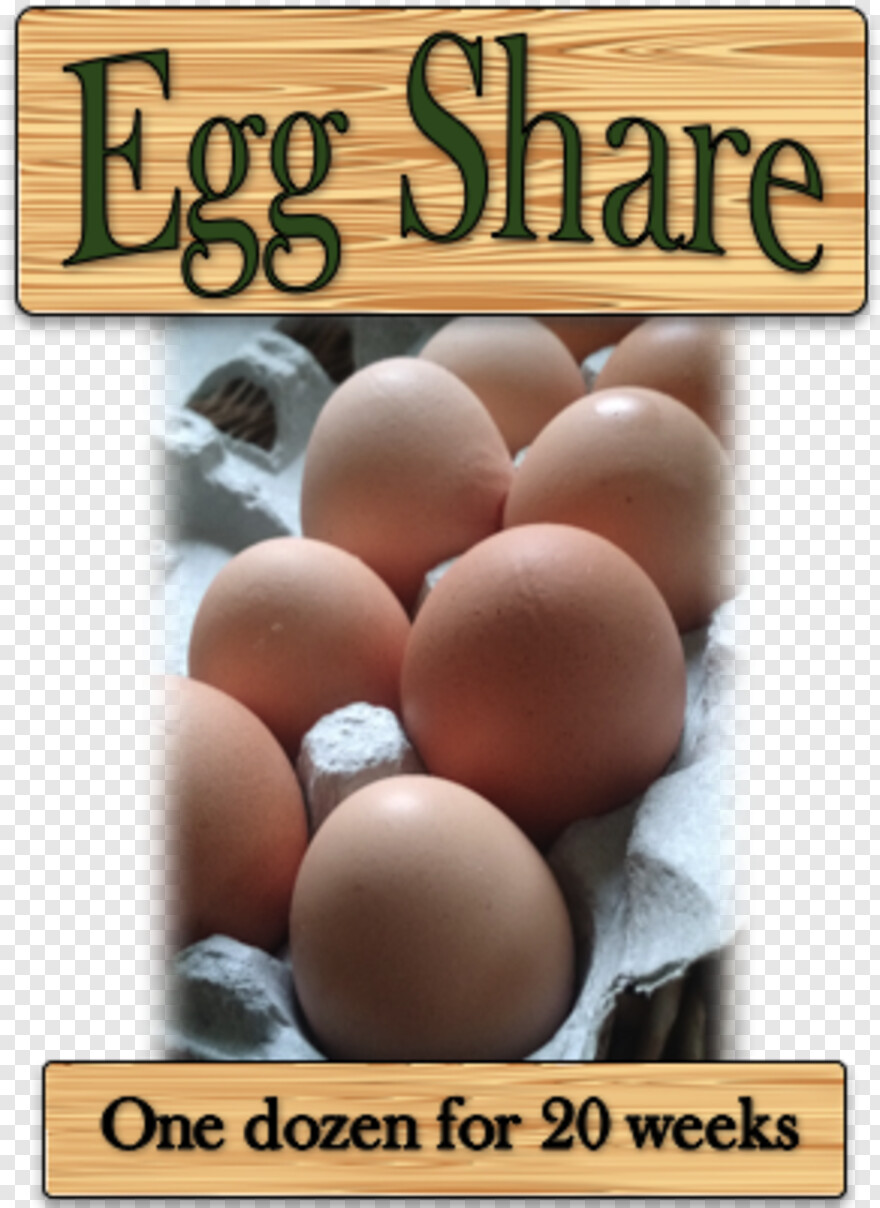 cracked-egg # 335177