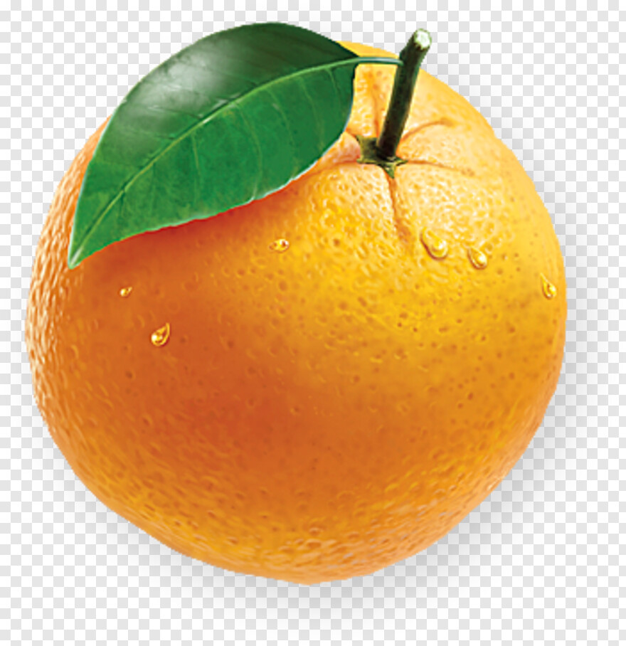 orange-juice # 812203