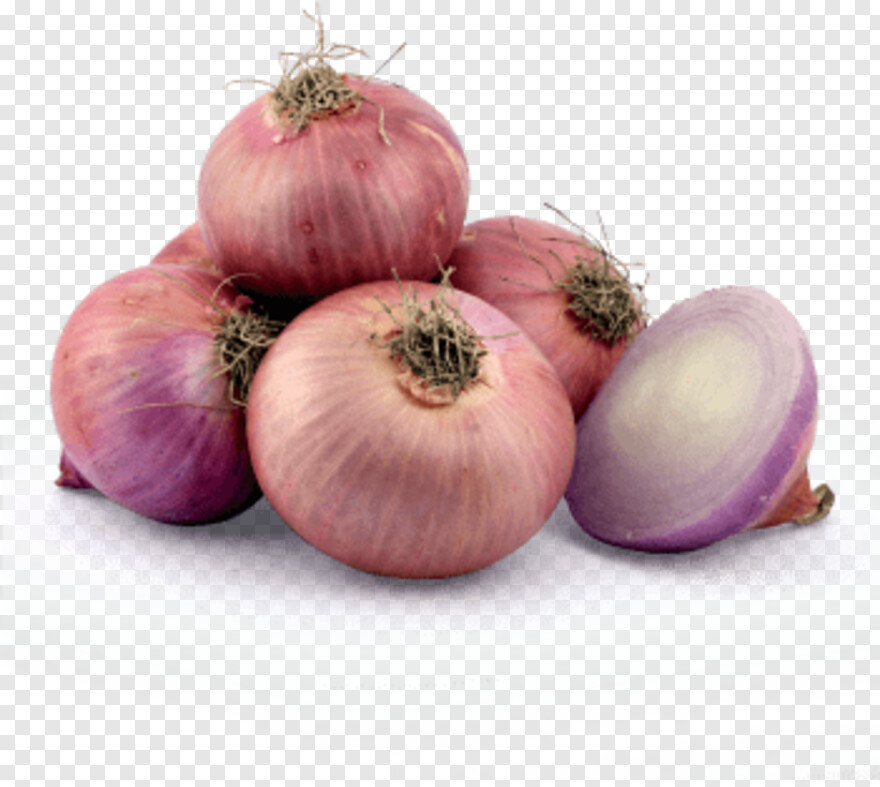 onion # 670322