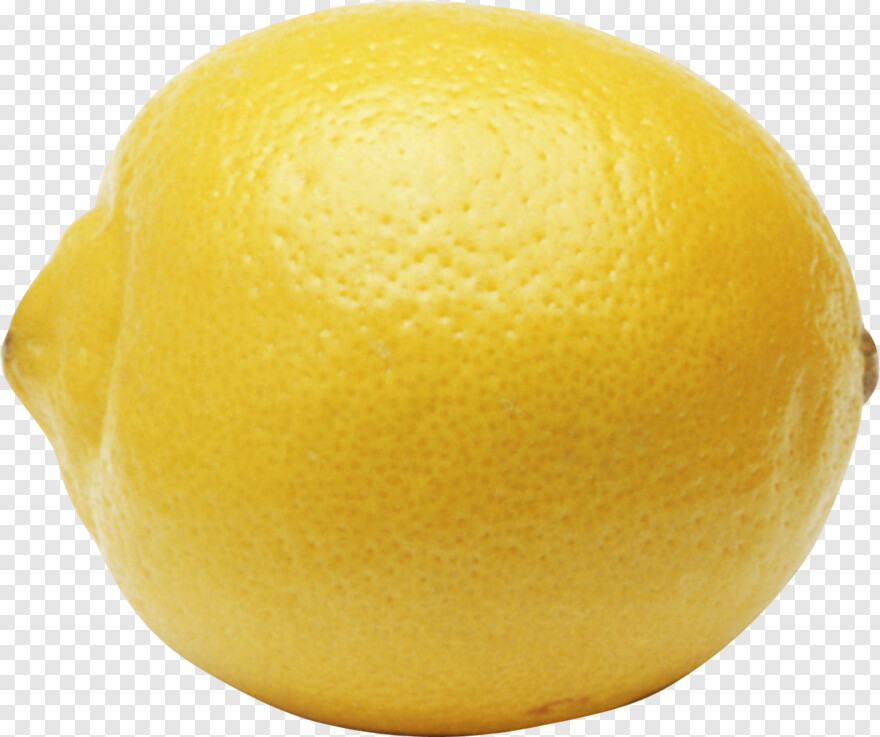 lemon-slice # 719176