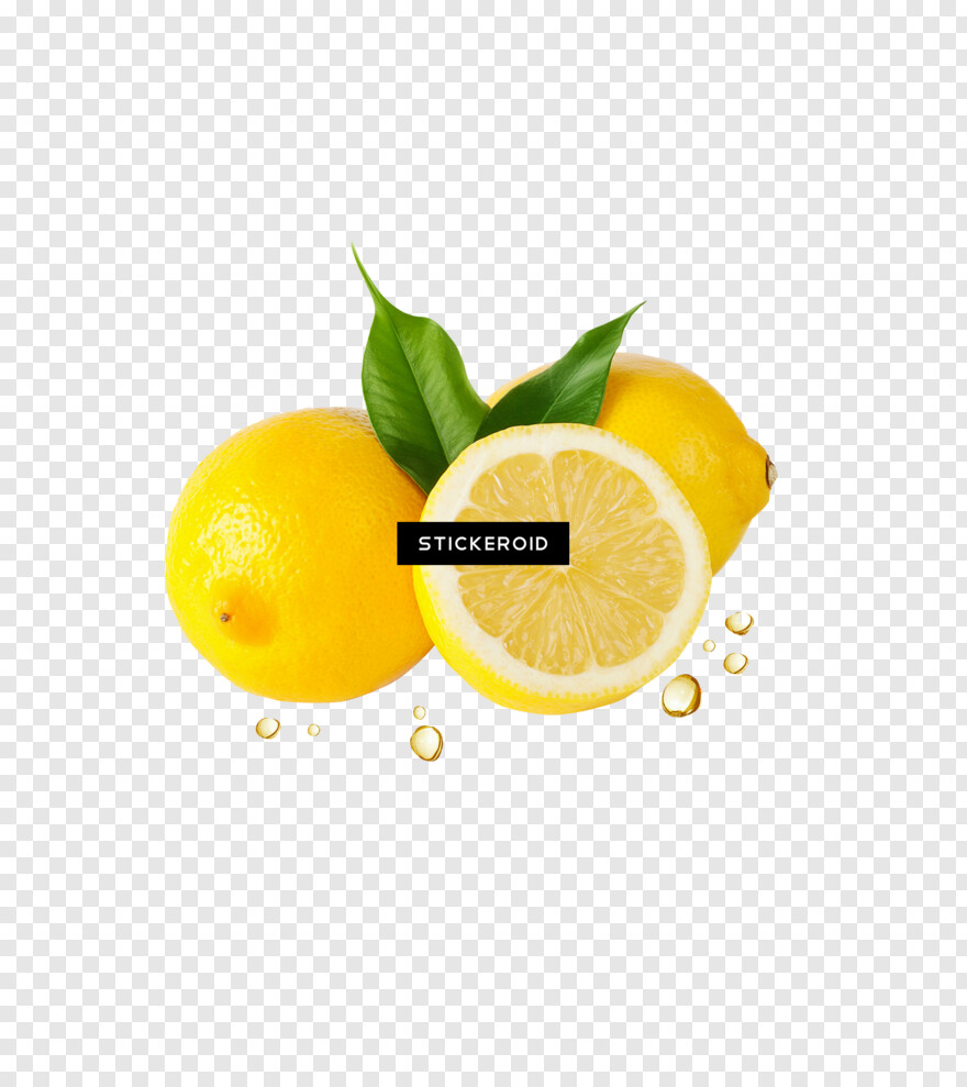 lemon-slice # 719189