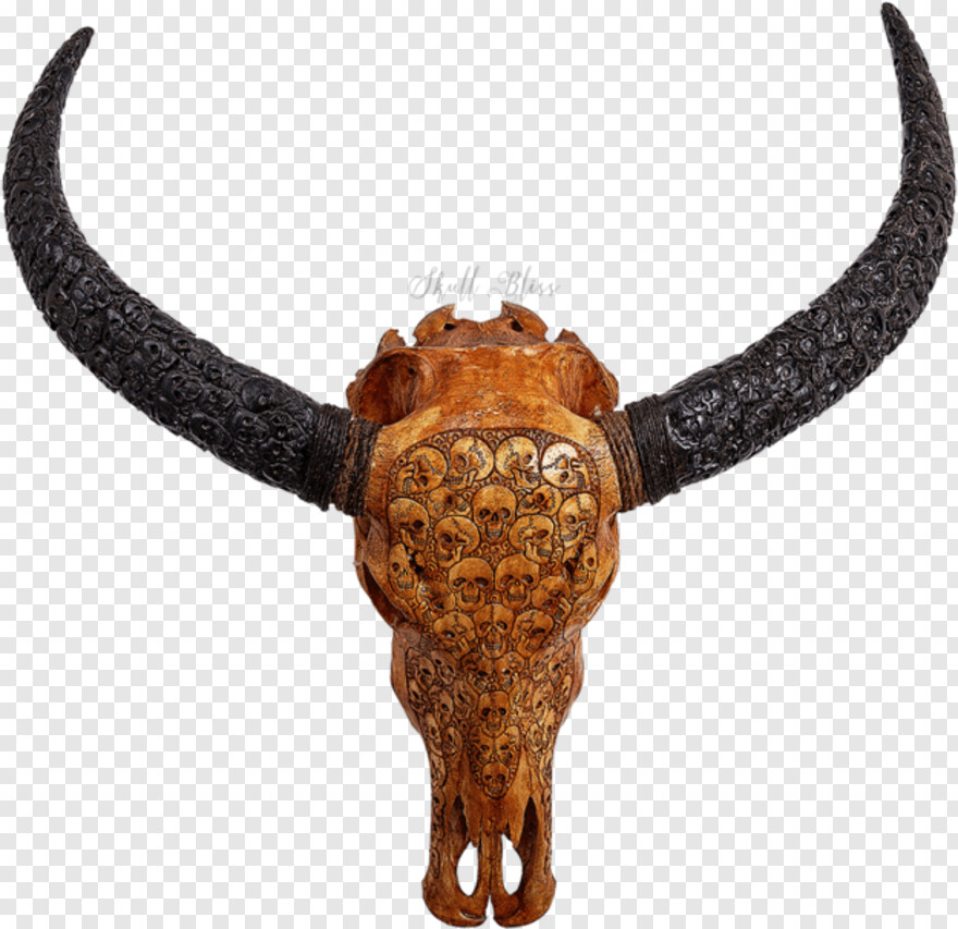  Bull Skull, Buffalo, Buffalo Bills Logo, Buffalo Bills, Pirate Skull, Skull Tattoo