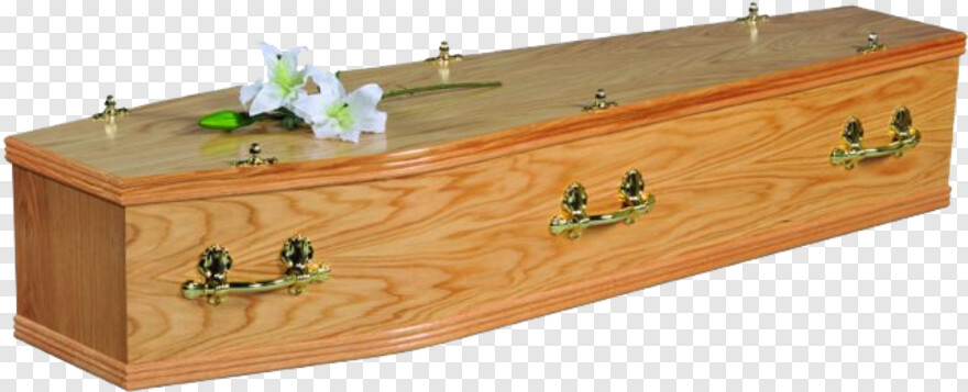 coffin # 987706