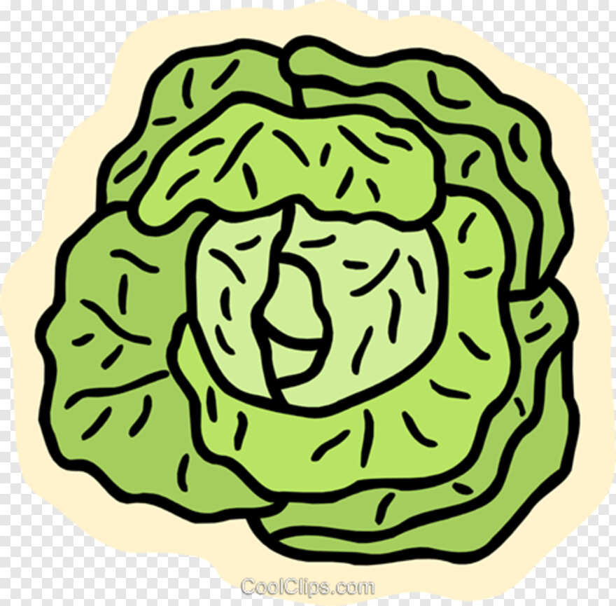 lettuce # 718536