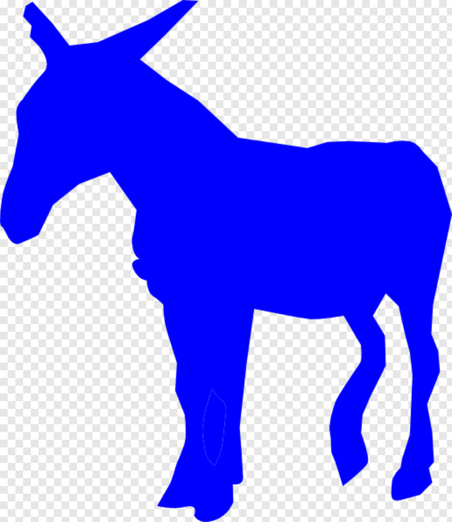 donkey # 479666