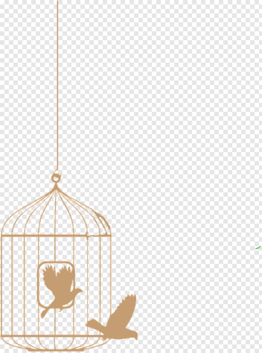 bird-cage # 359989