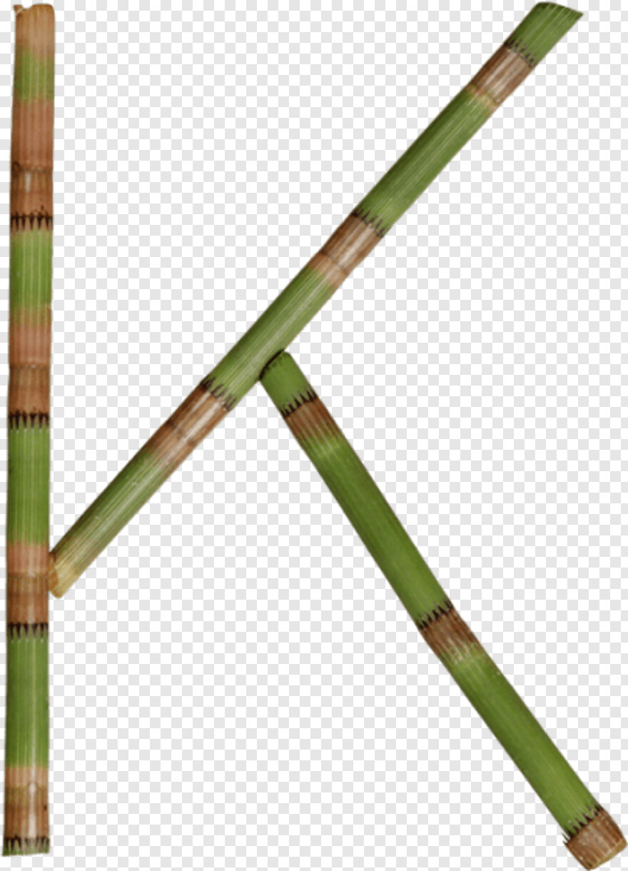 bamboo # 413918